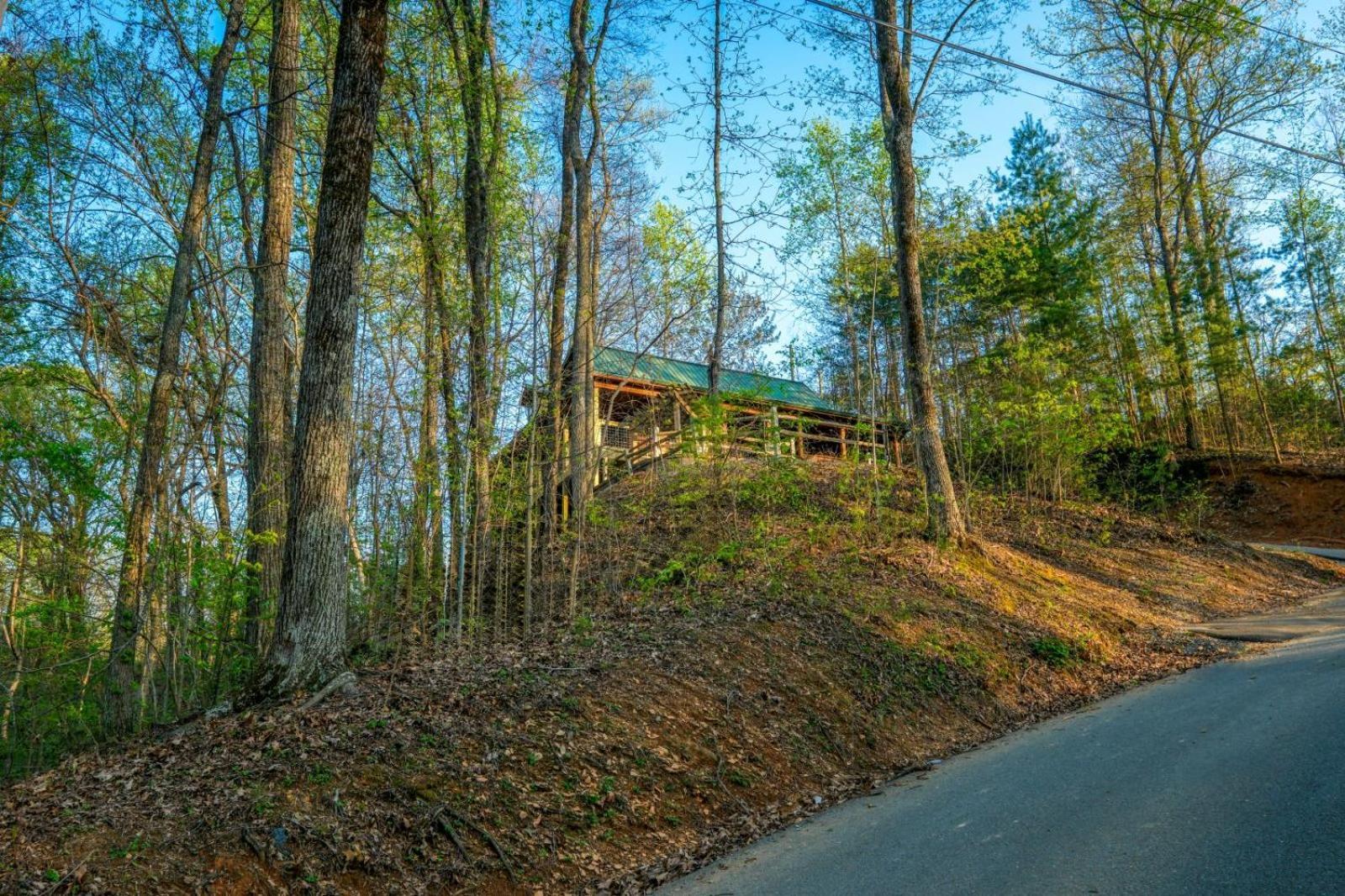 Little Bear Cabin Gatlinburg Εξωτερικό φωτογραφία